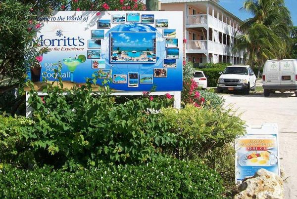bill boards signs