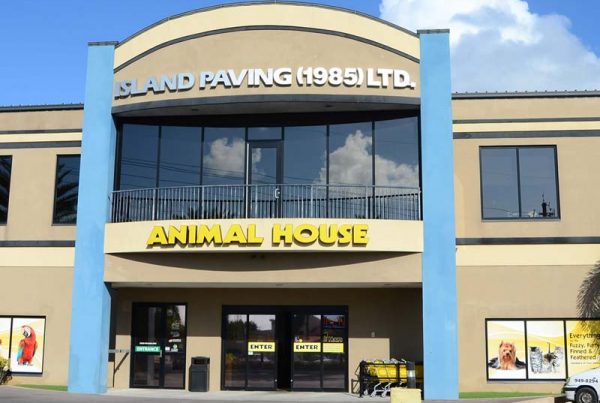 animal house channel letter design
