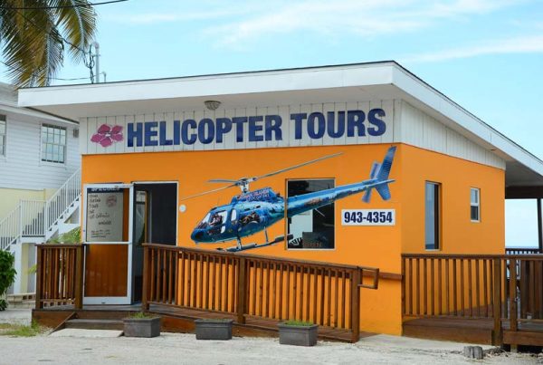 Helicopter Tours Signs