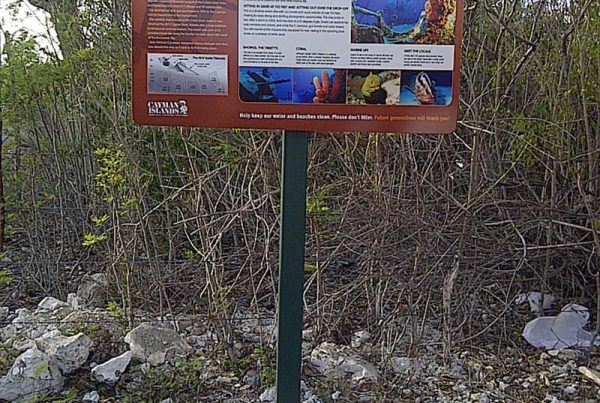 pylons signs
