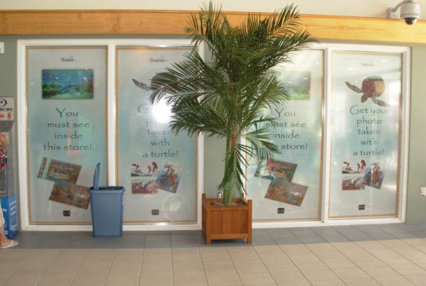 Window Graphics