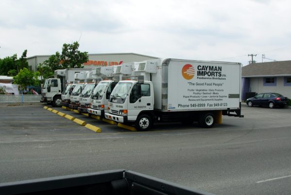 Vehicle Wraps & Decals