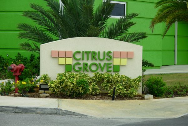 citrus grove